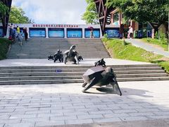 -广东惠东海龟国家级自然保护区