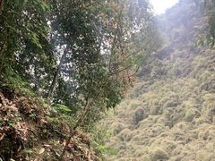 -阿依河景区