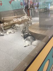 -紫颖·专业美胸·连锁养护中心