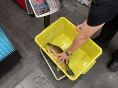 -菌乡缘·野生菌蒸汽鱼火锅(江边夜市店)