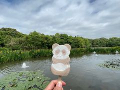 -成都大熊猫繁育研究基地
