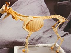 -生命奥秘博物馆