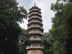 -灵谷景区