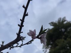 -三亚南山文化旅游区