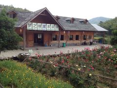 iphone_upload_pic-宁波浙东大竹海景区