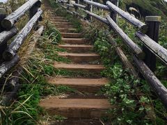 -涉地可支