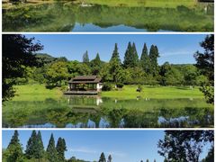-杭州植物园