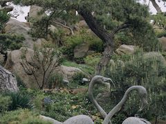 -罗红摄影艺术馆