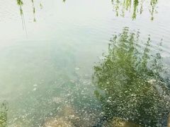 -石湖景区