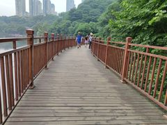 -重庆彩云湖湿地公园