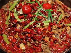 -老板恋上鱼(恒隆广场店)