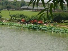 -秀丽东方
