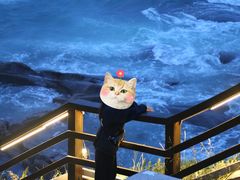 -燕儿岛山公园