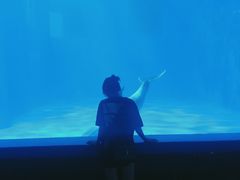 -多彩贵州城极地海洋世界