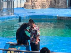 -华夏文旅海洋公园