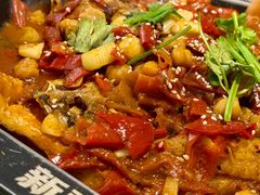 -撒拉花儿·新疆菜·清真(太阳宫店)