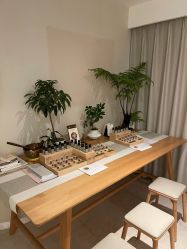-东英经典SKIN&SPA