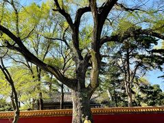 -沈阳市东陵公园
