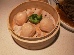-南枝记