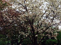 iphone_upload_pic-三鹰之森吉卜力美术馆