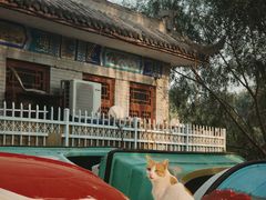 -达活泉公园