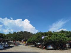 -满記土窑烧鷄波浪山莊