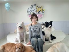 -汪说·狗咖·拼豆·宠物周边DIY(旺城大厦店)