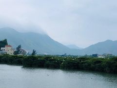 -盐洲岛