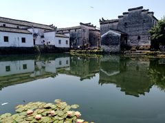 -东梓关景区村庄