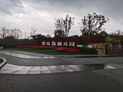 -上海滨江森林公园