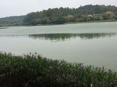 -南国桃园旅游度假区