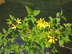 -山西通天峡景区