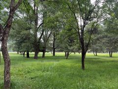 -承德避暑山庄景区