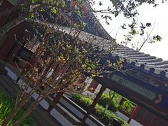 -百脉泉景区