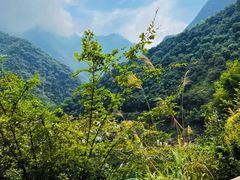 -白云源风景区