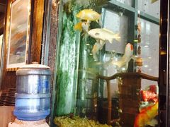 iphone_upload_pic-浩运·海鲜青岛菜·海胆水饺(石老人店)