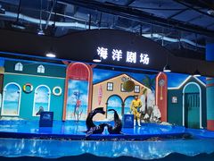 -重庆欢乐海底世界