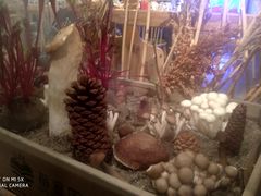 -番食园鲜食火锅(高新店)