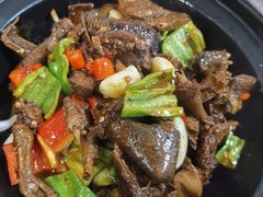 -龙小海荆沙鸽子店(瑞安街店)