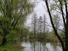 -西溪国家湿地公园