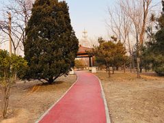 -绿堤公园