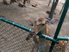 -大连铭湖国际观光牧场
