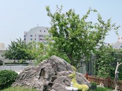 -悦融·京鲁菜·露台花园(安定门店)