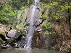 -莫干山风景区