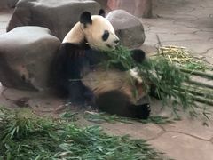 -宁波野生动物园