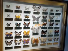 -上海昆虫博物馆