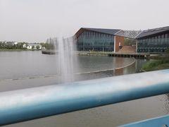 -上海长兴岛郊野公园