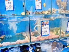 -小郭私房菜·海肠捞饭(学士街店)