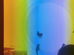 -陕西科学技术馆