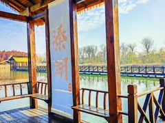 -溱湖国家湿地公园